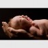 baby2