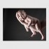 baby9
