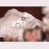 hochzeit10