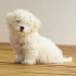 tiere10