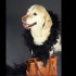 tiere5