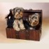 tiere7